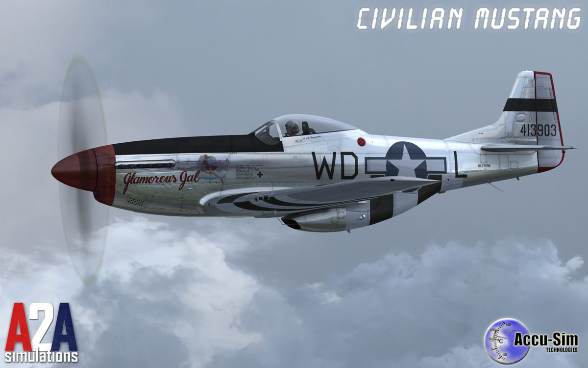 Accu-sim P-51 Civilian Mustang