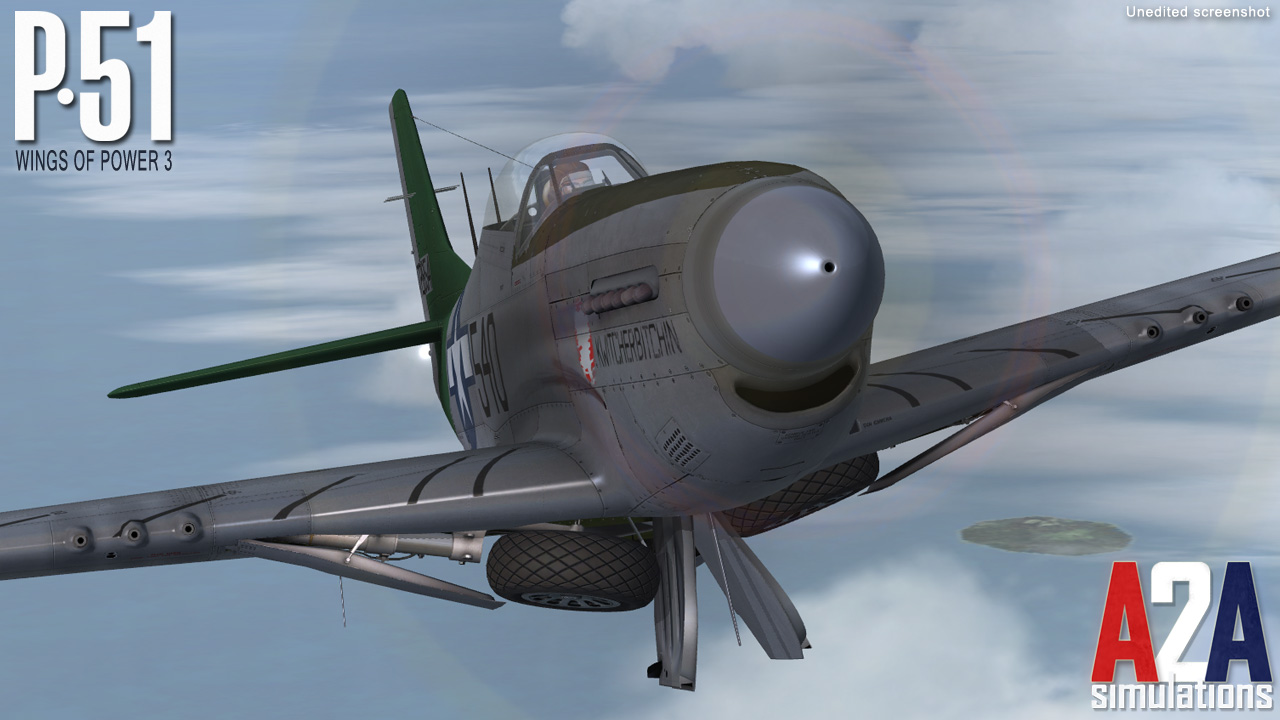 Accu-sim P-51 Mustang