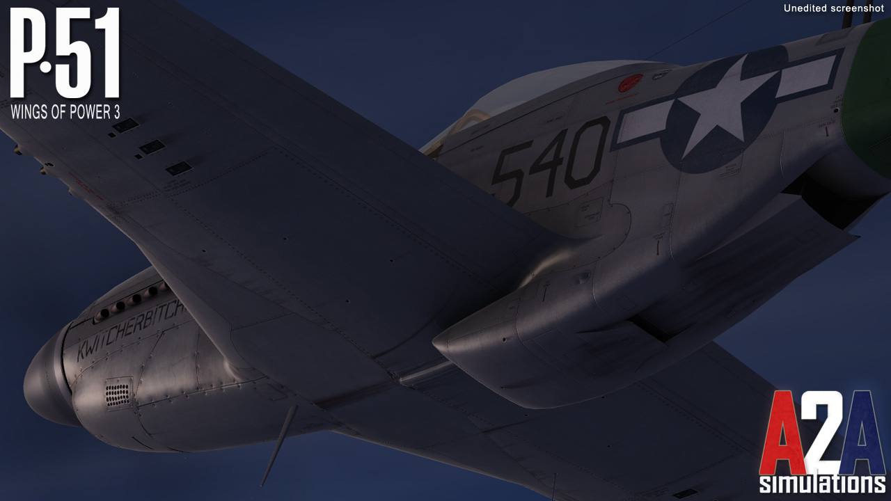 Accu-sim P-51 Mustang