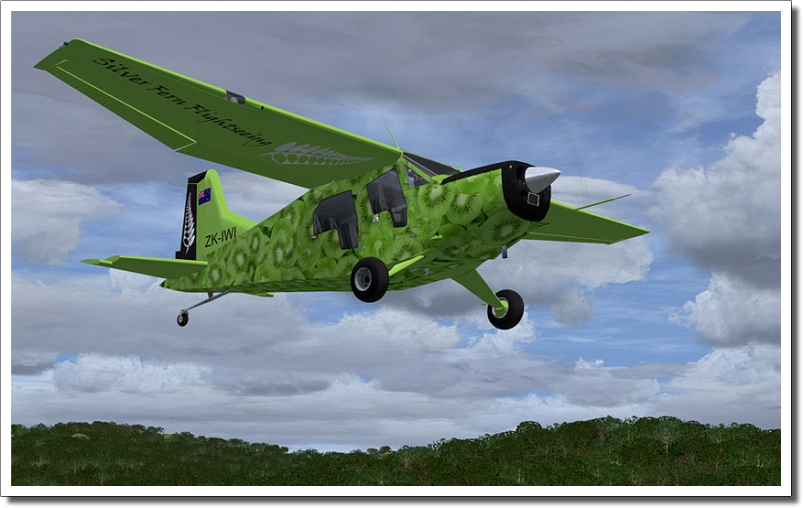 FSDG - Bush Hawk XP