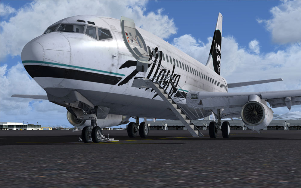 boeing 737 900er fsx torrent