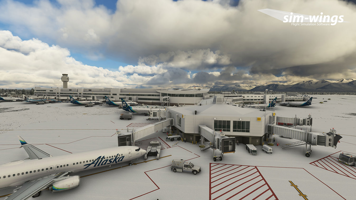 sim-wings Anchorage