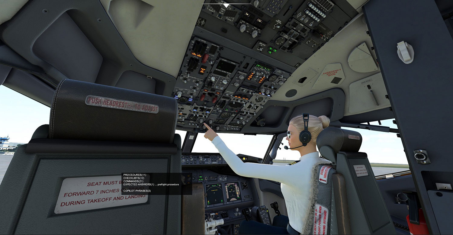 SkyCatsLab - CoPilot for PMDG 737-800 MSFS