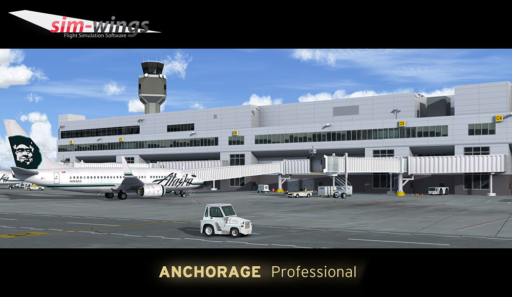 Anchorage professional