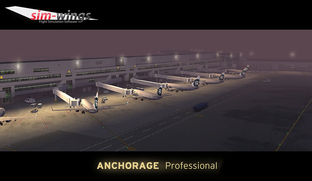 Anchorage professional