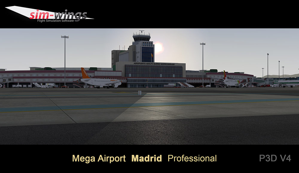 Mega Airport Madrid professional