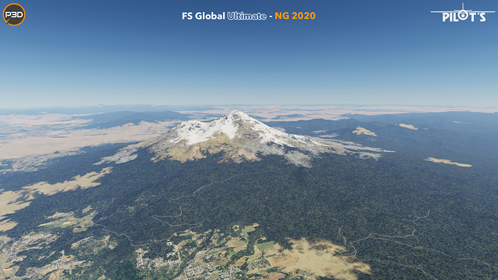 FS Global Ultimate - NG 2020
