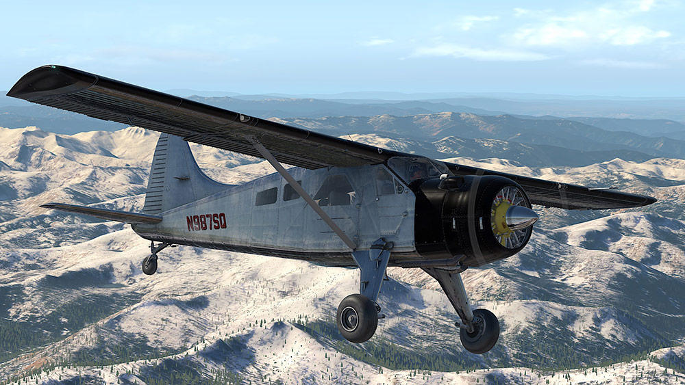 DHC-2 Beaver - DGS Series XP
